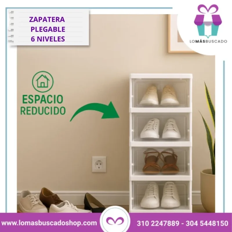 Zapatero de 6 Niveles